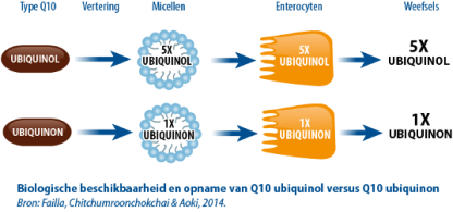 Vitakruid - Q10 Ubiquinol met Omega 3 - 60 capsules