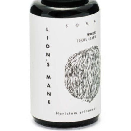 Lion's Mane Paddenstoelen Extract Bio