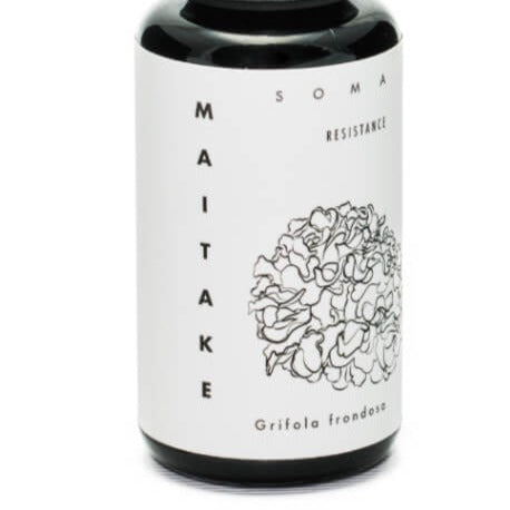 Maitake Paddenstoelen Extract